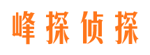 雅安市婚外情调查